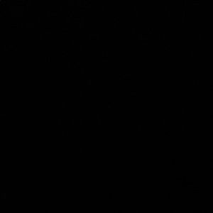 Meet your Posher, Noah